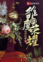 雏鹰的荣耀txt电子书