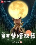 宝可梦修改器安装