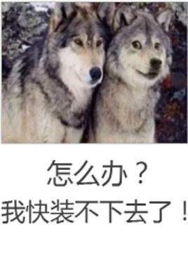 我居然成了不留姓名的大佬