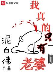 我真的只有一个老婆介绍