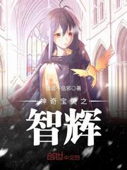神奇宝贝之智辉 聚合中文网