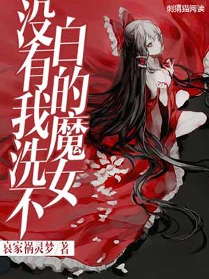 没有我洗不白的魔女txt精校