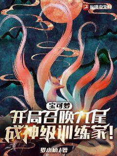 精灵宝可梦之召唤系统