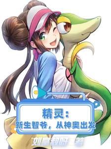神奇宝贝;新生小智笔趣阁