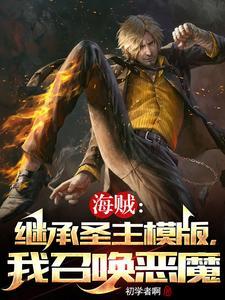 海贼我是圣主