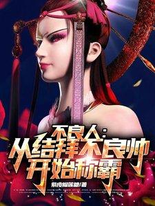 不良人系统