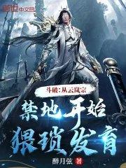 斗破变成云岚宗宗主