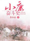 小康奋斗目标