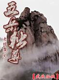 五岳独尊20年52度价格