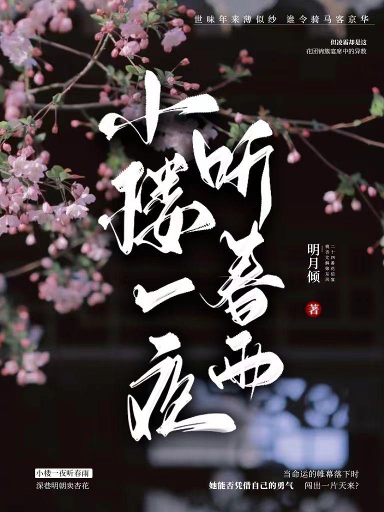 小楼一夜听春雨 番外