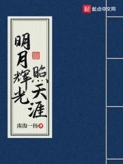 什么意思