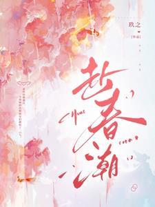 赴春潮短剧免费播放