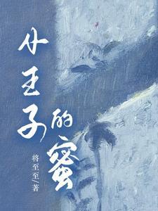小王子的秘境攻略