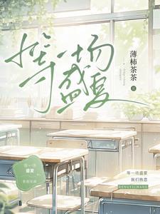 等一场盛夏多少字