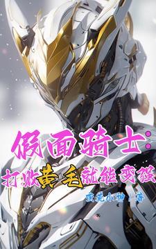假面骑士w 姐夫