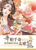 宰相千金游戏攻略
