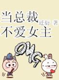 当总裁不爱女主 百度