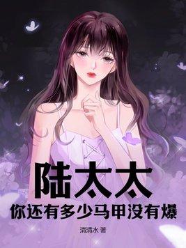陆太太