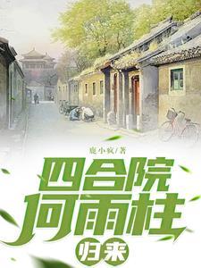 重生傻柱娶外女