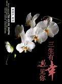 三生有幸遇见你第40集免费观看