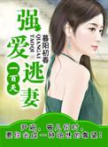 强换逃妻