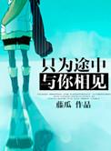 只为途中与你相见by藤瓜