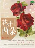 各表一枝怎么用