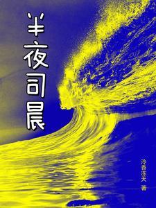 求一本男主叫司夜的