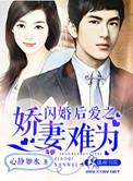 闪婚后爱甜宠