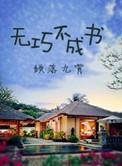 无巧不成书打一最佳生肖