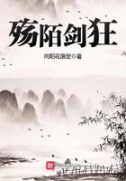 殇狂之战