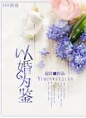 以婚为鉴txt