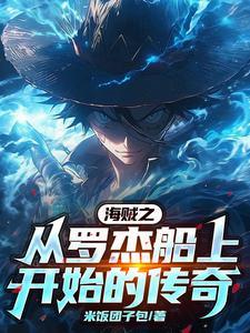 海贼王之海贼冰帝