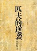匹夫的逆袭刘飞的结局
