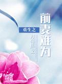 重生之前妻难为 月亮糕