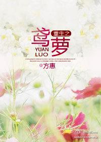 鸢罗免费阅读