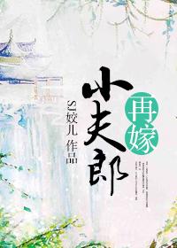 再嫁小夫郎有声在线收听