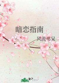 暗恋指南TXT百度资源