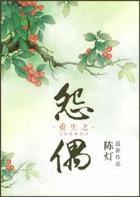 重生之怨偶简介
