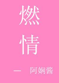 燃情密码电视剧演员表