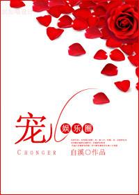 宠儿全文免费阅读