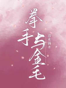 拳手与金毛TXT