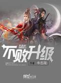 不败升级奇书
