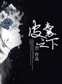 皮囊之下讲的是啥