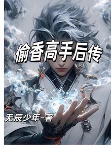 偷香高手内容