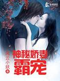 闪婚娇妻与神秘霸总