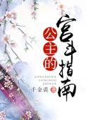 公主的攻略