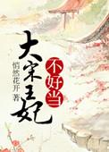 穿越大宋宠妃的