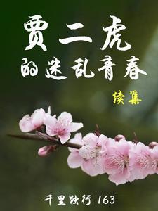 贾二虎的迷乱青春续集 在线阅读