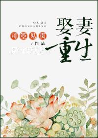 娶妻重生全文免费阅读无弹窗